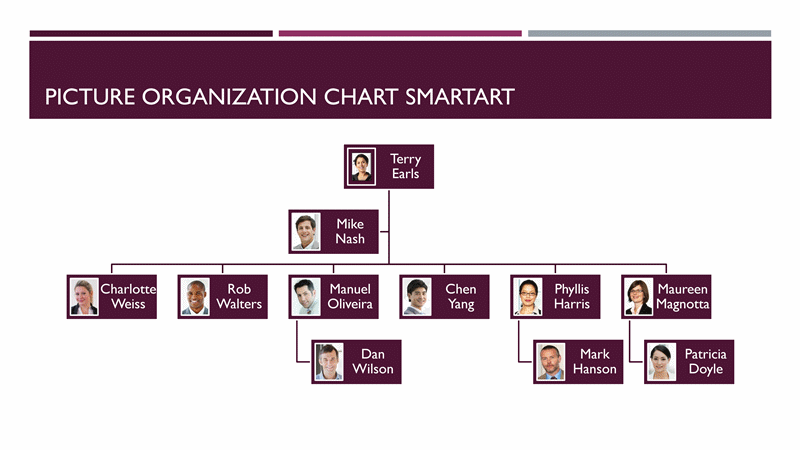 Download Picture organizational chart (purple, white, widescreen)