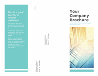 Business Company Brochure